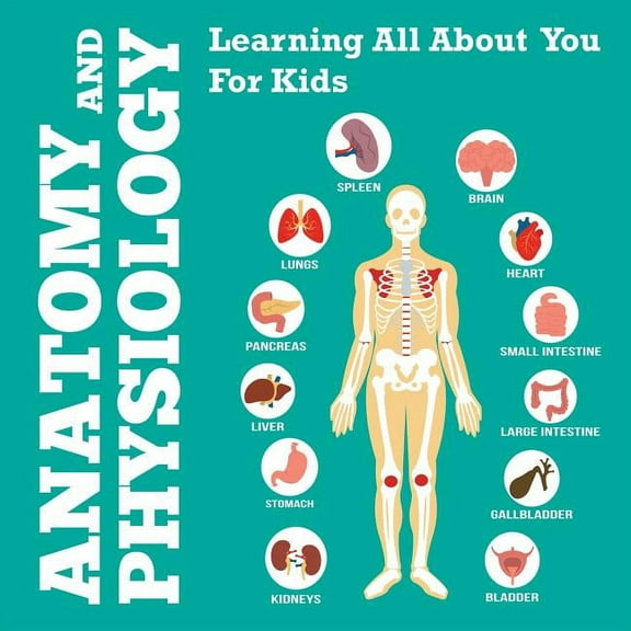 Anatomy And Physiology: Learning All About You For Kids, (Paperback)