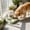 Green#43, variant on 2-in-1 Automatic Pet Feeder and Waterer, Food Dispenser with Elevated Bowl for Cats and Small Dogs, Raised Neck Protection Feeding Station