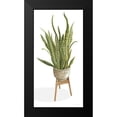 thumbnail image 2 of Jacobs, Cindy 14x24 Black Modern Framed Museum Art Print Titled - Snake Plant, 2 of 5