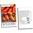 thumbnail image 6 of Speckled Roman Tomato Seeds for Planting, 100+ Heirloom Seeds Per Packet, (Isla's Garden Seeds), Non GMO Seeds, Botanical Name: Lycopersicon lycopersicum, Great Home Garden Gift, 6 of 7