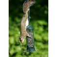 thumbnail image 3 of Squirrel Buster Mini Squirrel Proof Bird Feeder, 3 of 4