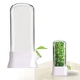 thumbnail image 2 of With Peeler And Vegetable Storage And Organizer For Fridge And Kitchen Ideal For Parsley Cilantro Asparagus And, 2 of 4