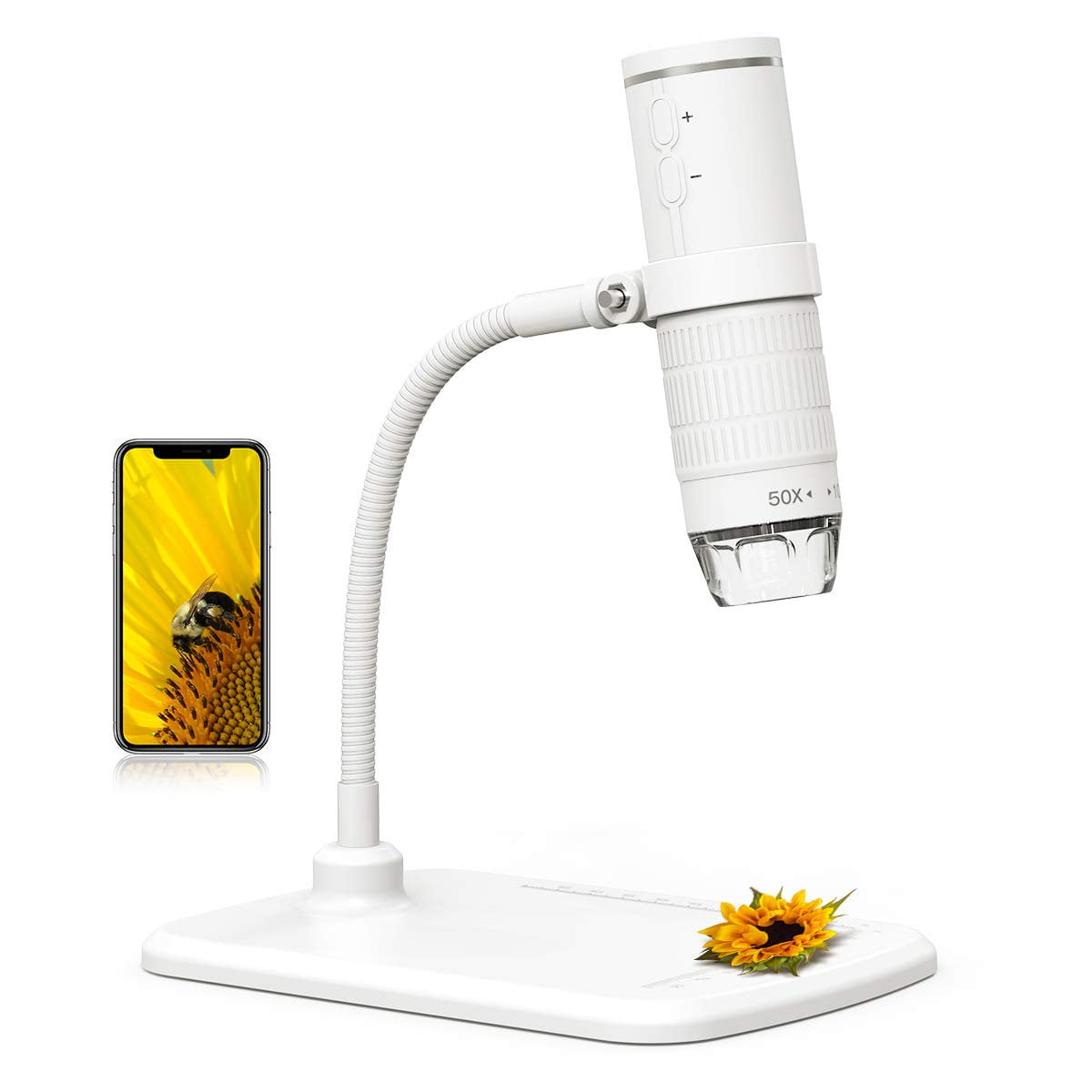 dodocool WiFi Digital Microscope HD 1080P Resolution 50 to 1000x Wireless Magnification Endoscope with LEDs Microscope Camera, Compatible with iOS iPad Android Mac Tablet - Walmart.com