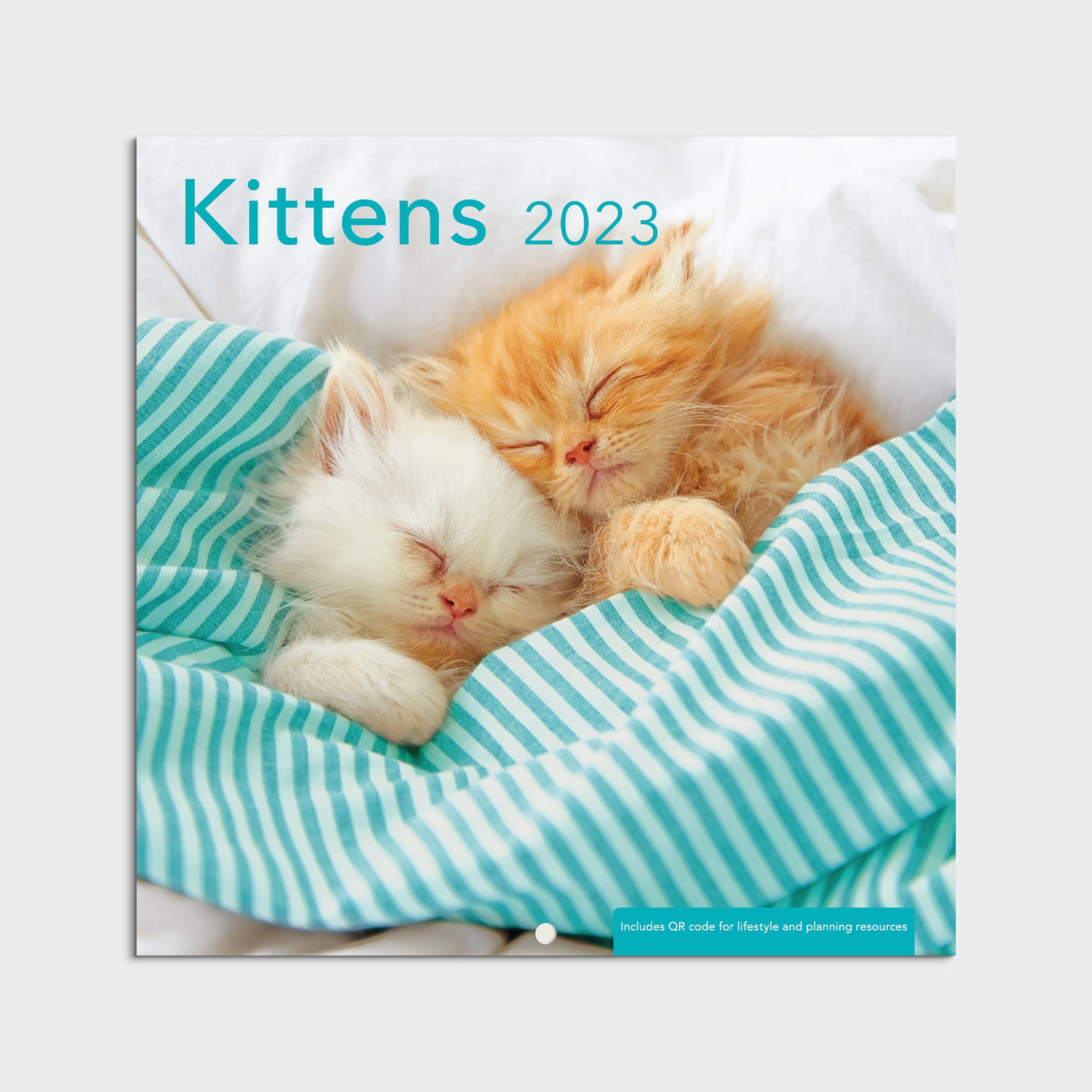 2023 Mini Wall Calendar - Kittens- 7"x7" by Dayspring