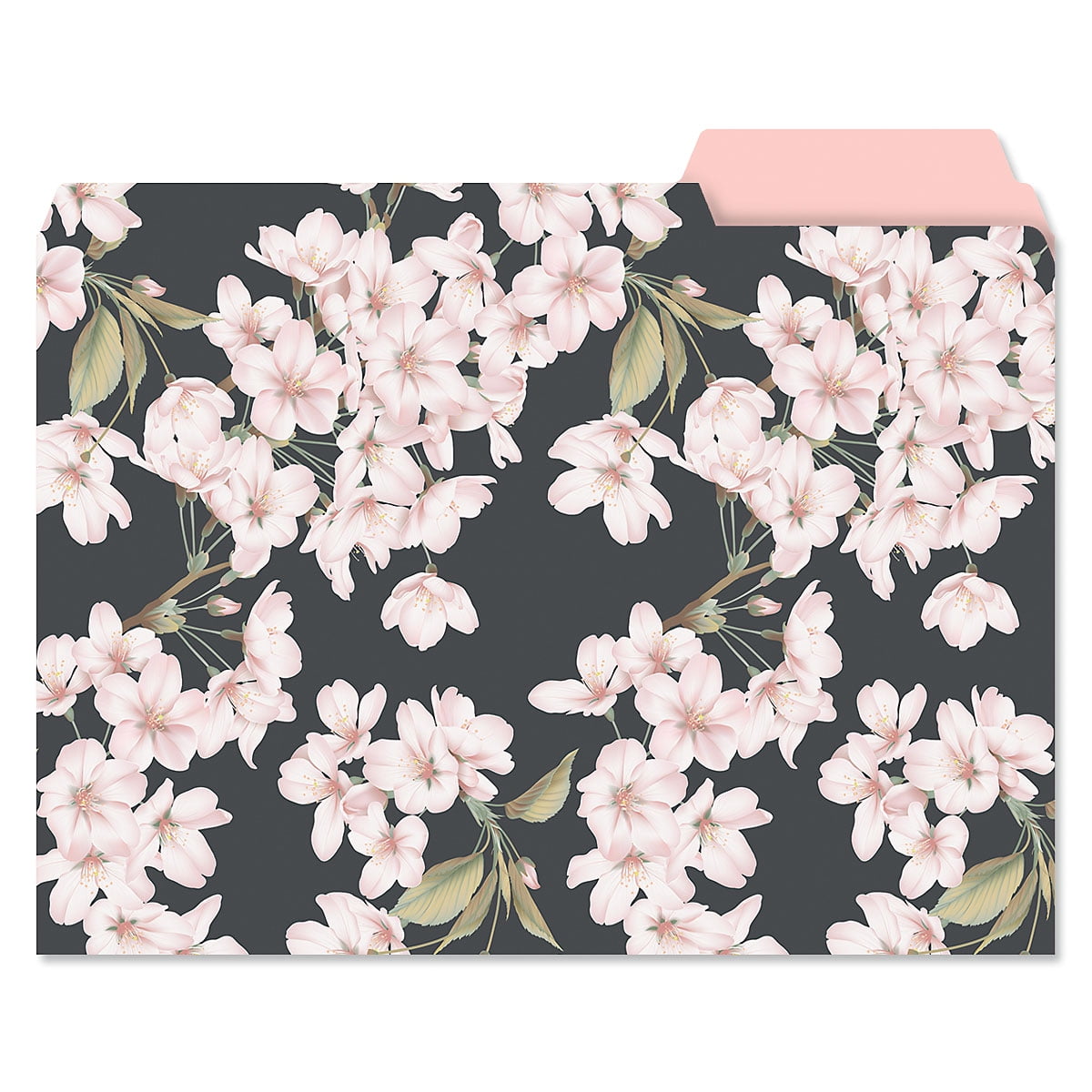 Current Charcoal & Coral File Folders Value Pack, Decorative, Set of 24, Staggered Tabs, 9.5 x 11.75