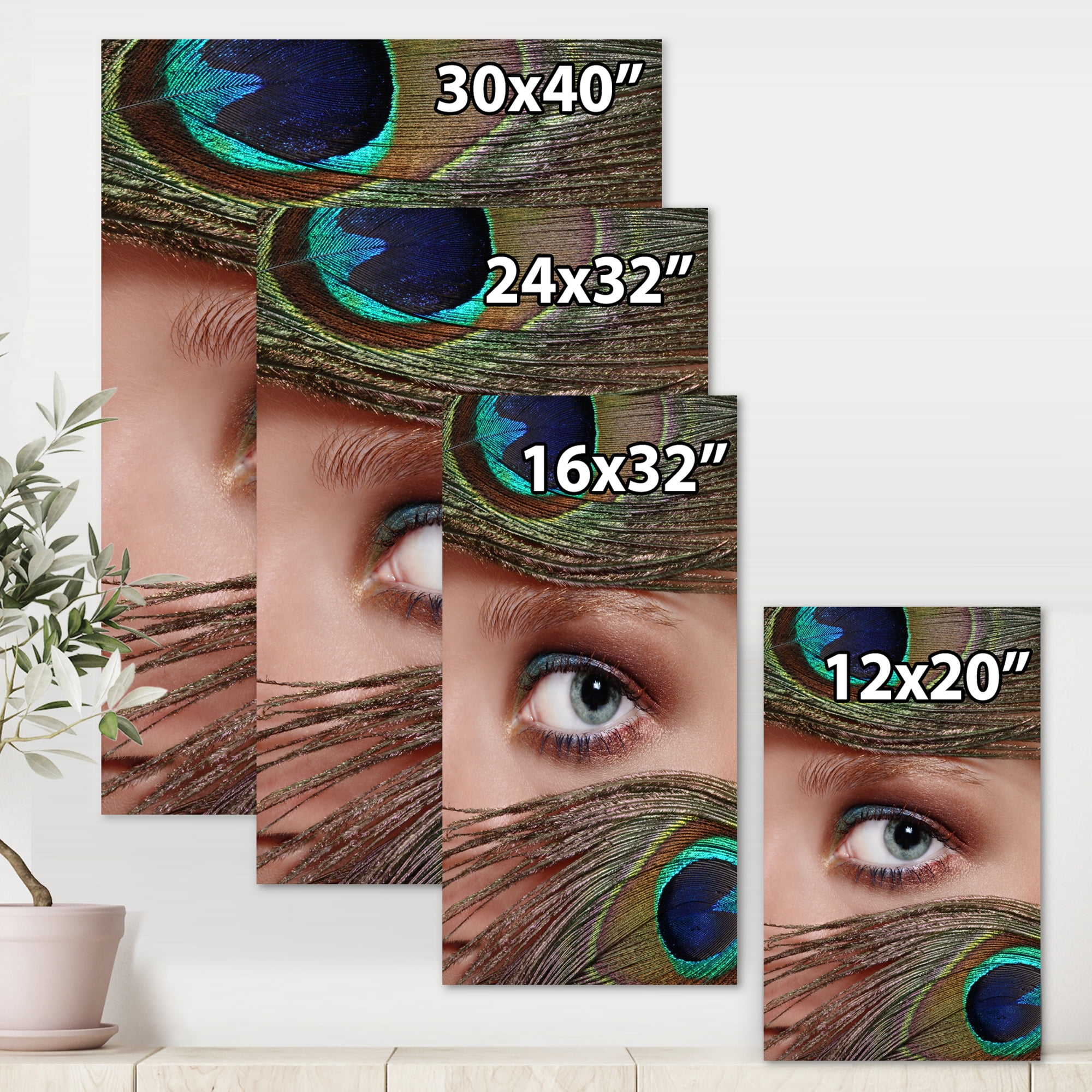 Designart ' Peacock Feathers and Eye ' Bohemian & Eclectic Canvas Wall Art Print