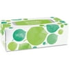 Seventh Generation 13712CT 100% Recycled Facial Tissue, 2-Ply, 175 per Box
