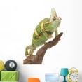 thumbnail image 1 of Veiled Chameleon Wall Mural Decal by Wallmonkeys Vinyl Peel and Stick Graphic (48 in H x 32 in W), 1 of 4