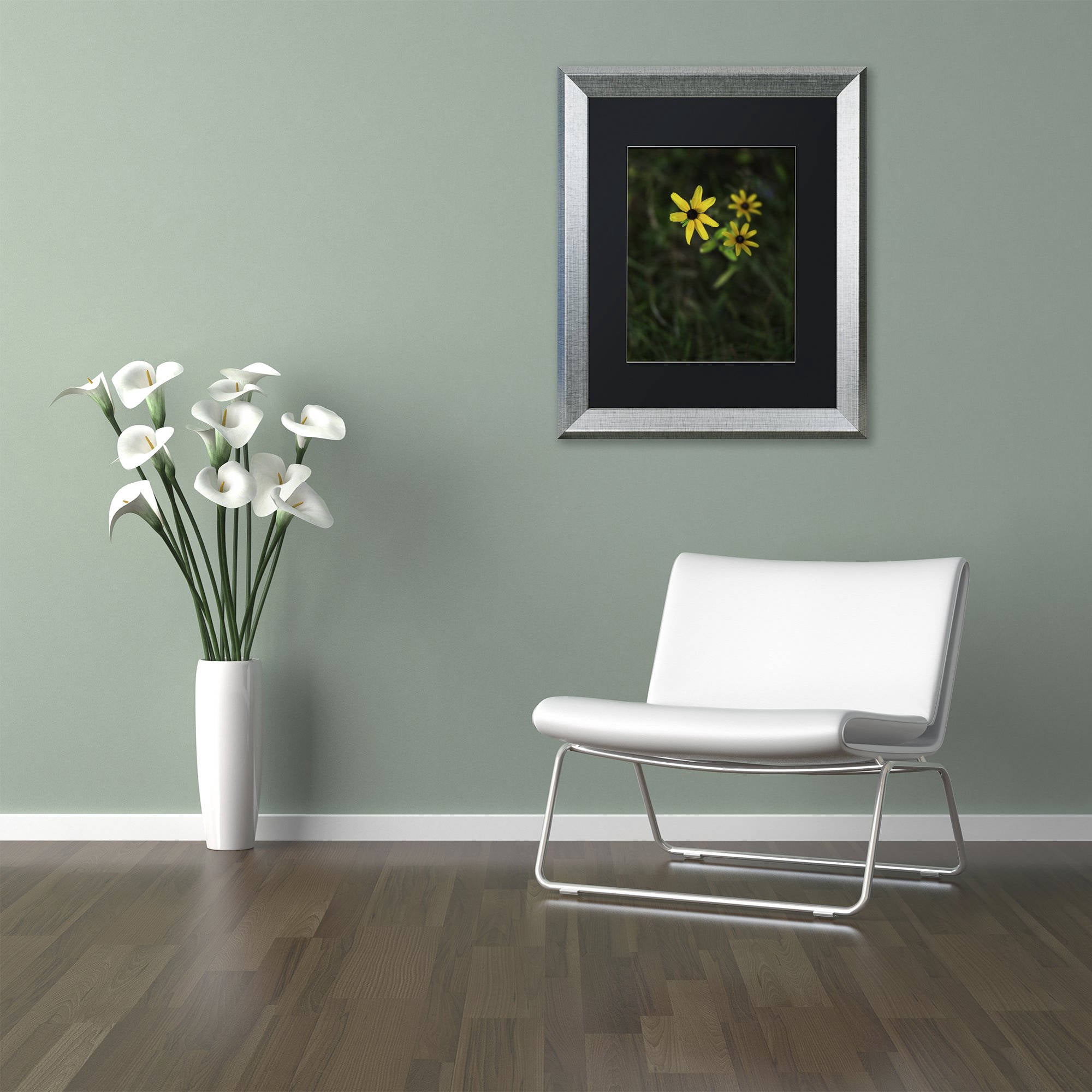 Trademark Fine Art "Brown-Eyed Susan" Canvas Art by Kurt Shaffer, Black Matte, Silver Frame