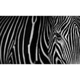 thumbnail image 3 of Saavedra Ruiz, Sergio 18x12 Black Modern Framed Museum Art Print Titled - Stripes, 3 of 5