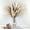 White,Brown-80, variant on 60 PCSDried Pampas Grass Decor for Wedding Boho Flowers Home Table Decor, Rustic Farmhouse Party (White and Brown)