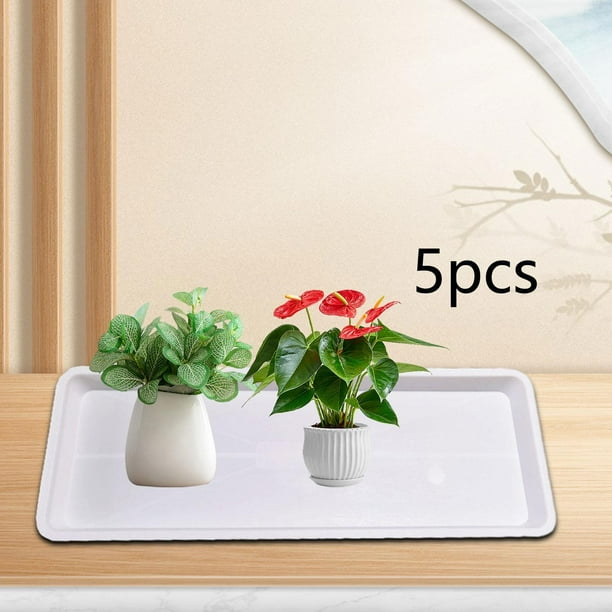 Bandejas de platillo de plantador 5pcs plantador rectangular múltiples placas de drenaje de planta de durabilidad