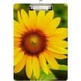 thumbnail image 2 of FMSHPON Sunflower Clipboard Hardboard Wood Nursing Clip Board and Pull for Standard A4 Letter 13x9 inches, 2 of 7