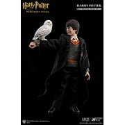 Harry Potter and the Sorcerers Stone Harry Potter 1/6 Scale Action Figure