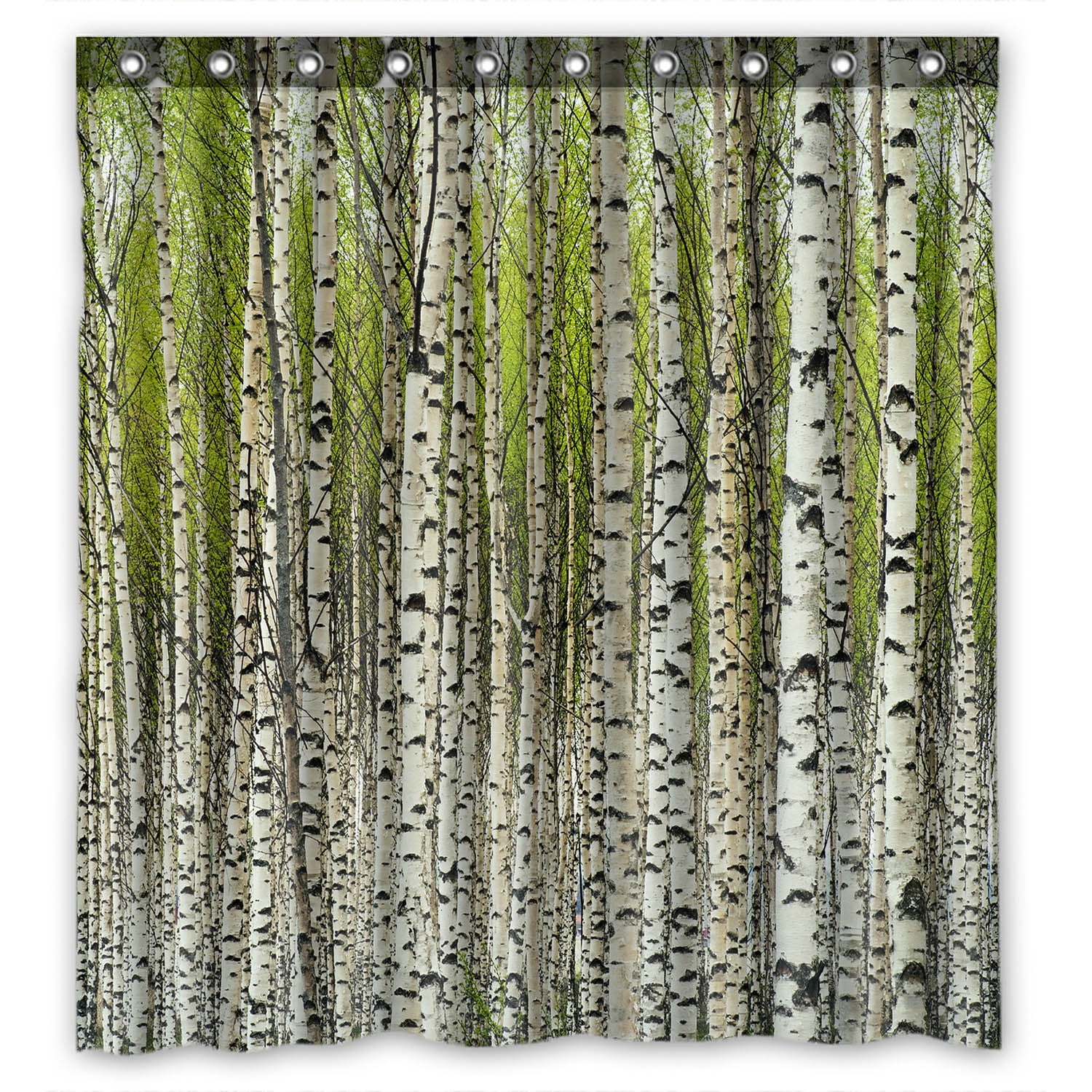YKCG Green Birch Tree Bare Birch Trees with Fresh Green Leaves in