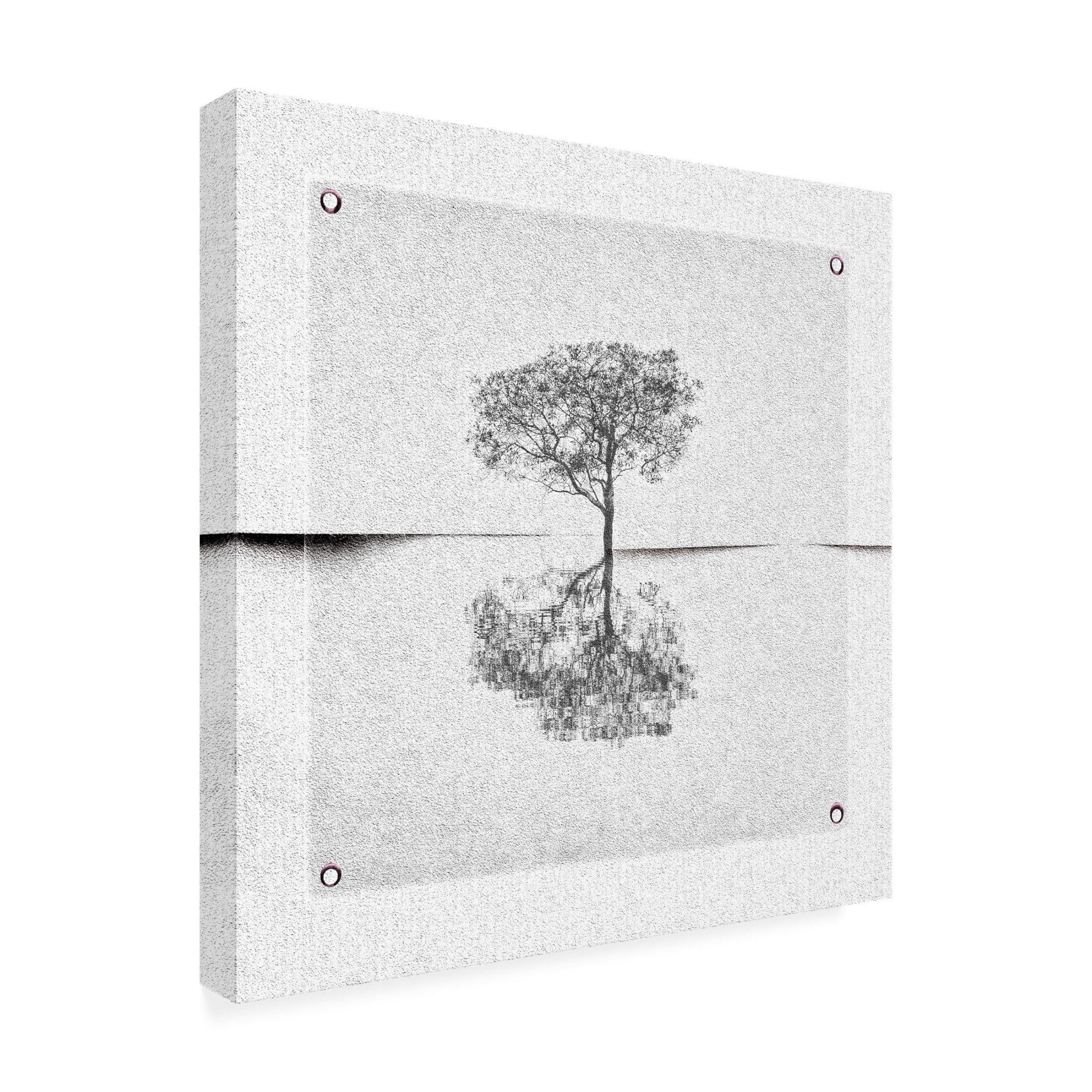 Trademark Fine Art Harry Verschelden Broken Canvas. Canvas Wall Art