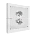 thumbnail image 4 of Trademark Fine Art Harry Verschelden Broken Canvas. Canvas Wall Art, 4 of 4