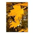 thumbnail image 1 of Póster de lienzo de decoración de otoño, hojas amarillas, vista de otoño, arte de pared, Impresión de pintura de calabaza, imagen de Halloween, sala de estar, dormitorio, 1 of 4