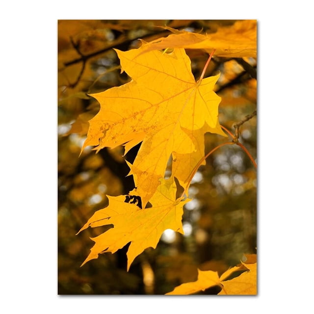Póster de lienzo de decoración de otoño, hojas amarillas, vista de otoño, arte de pared, Impresión de pintura de calabaza, imagen de Halloween, sala de estar, dormitorio