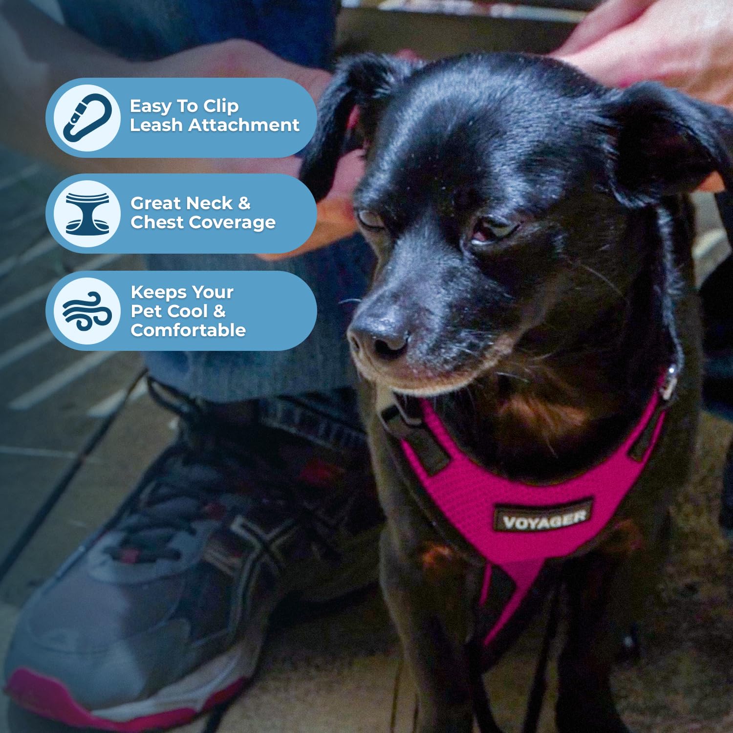Voyager Step-In Lock Pet Harness - All Weather Mesh, Adjustable Step In Harness for Cats and Dogs by Best Pet Supplies - Fuchsia/Black Trim, S