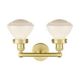 thumbnail image 7 of Innovations Lighting 616-2W-10-16 Olean Vanity Olean 2 Light 16" Wide Vanity Light -, 7 of 7
