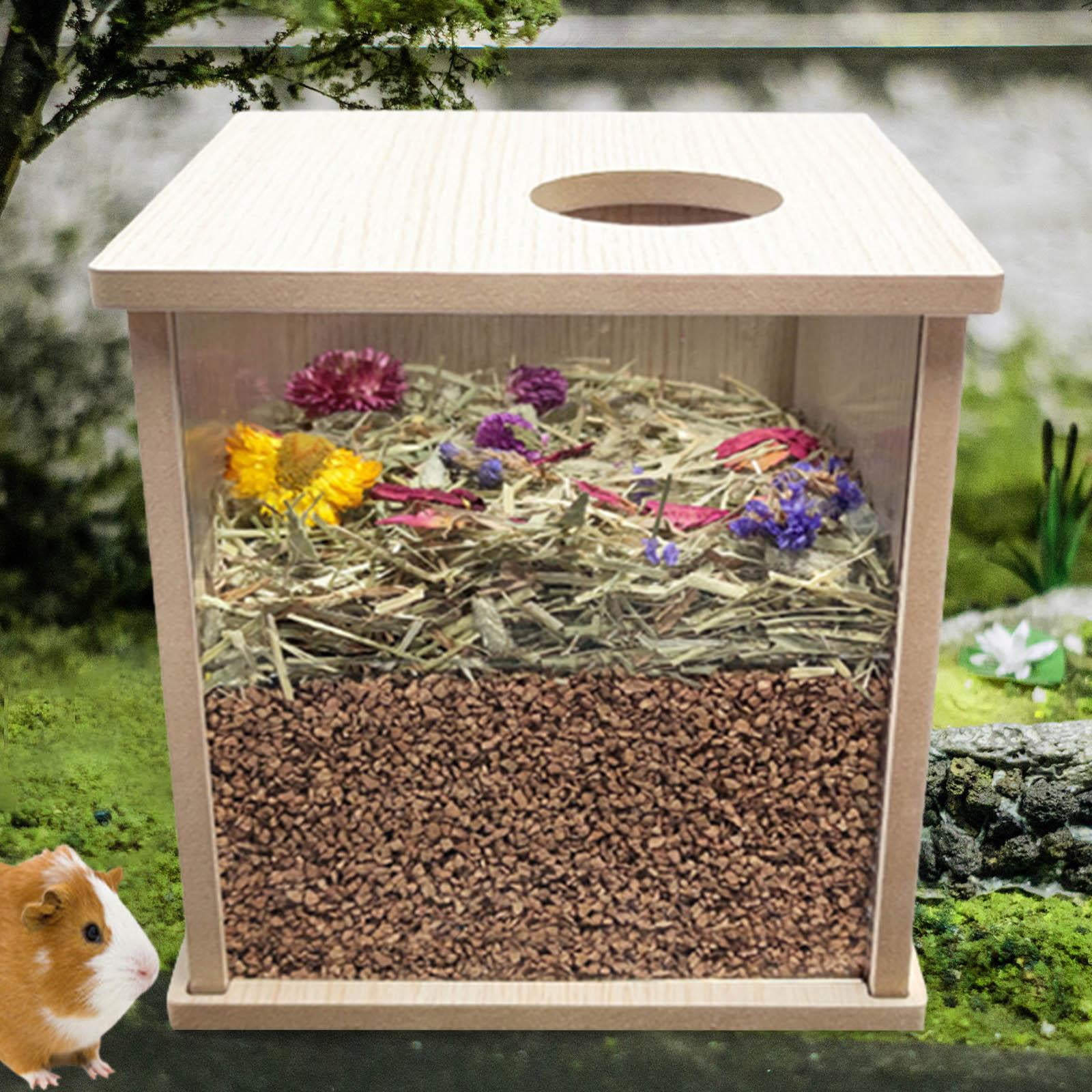Curated visual reference: Visual Reference: Hamster Wooden Cage Acrylic Hamster Cage Rest Visible Hamster Cage