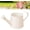 Cream, variant on White Watering Can Metal, 1l Vintage Metal Watering Can, Galvanized Water Can, for Flowers, Indoor & Outdoor Plants, Lawn & Garden (Orange)