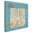 thumbnail image 2 of Trademark Fine Art "Points North" Canvas Art by Belinda Aldrich, 2 of 3