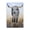 Longhorn Cattle Rustic, variant on Stupell Industries Farmhouse Grazing Cow Animal Portrait Black Framed Giclee Art, 11 x 14, by Dakota Diener