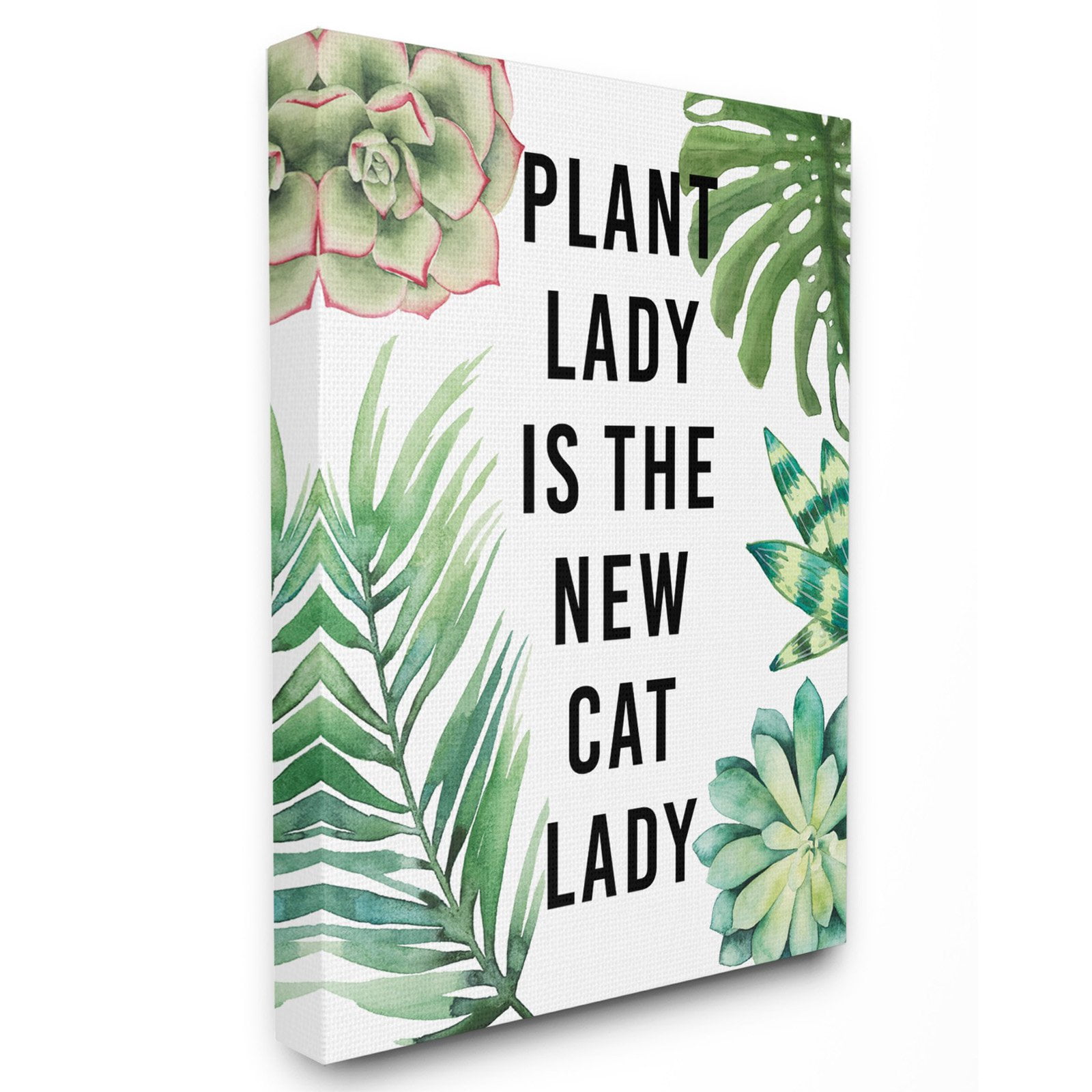 The Stupell Home Decor Collection Plant Lady is the New Cat Lady Wall Art