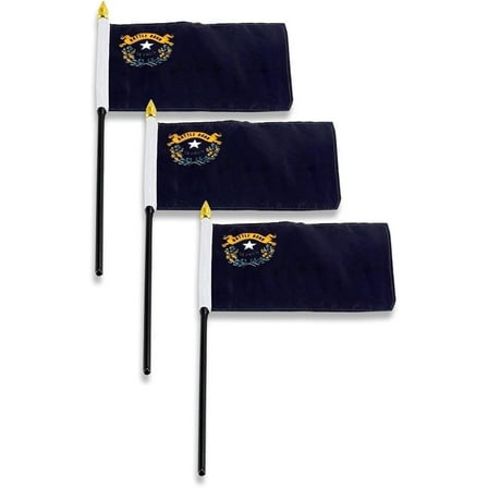 Nevada Flag 4 x 6 inch (3 PK)