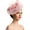 Z20-PK1, variant on FUZHIQ Mesh Flower Feather Derby Fascinator Hat, Wide Brim Tea Party Headwear for Women, Wedding & Stage Show Fashion Accessory