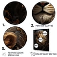 thumbnail image 3 of Designart "The Regal And Elegant Lion Ruler" Animals Lion Floater Framed Canvas Art Print, 3 of 5