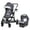 Dash Grey, variant on Baby Trend Morph Single to Double Modular Travel System
