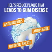 TheraBreath Healthy Gums Mouthwash, Antigingivitis Mouth Rinse for Adults, Clean Mint, 16 fl oz
