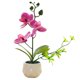 thumbnail image 1 of Flor falsa de doble horquilla, simulación de phalaenopsis, decoración creativa de bonsái pequeño, planta artificial en maceta, planta verde, 1 of 5
