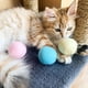 thumbnail image 3 of Juguete De Pelota Para Gatos Juguete Interactivo Para Gatos Juguetes De Hierba Gatera Para Gatos Ejercicio Estimula El Instinto De Caza Del Gato 3 Uds sonducket PT002455-02, 3 of 6