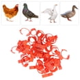 thumbnail image 4 of Birds Identification Leg Bands, 6 Slots Chicken Leg Rings  For Ducks For Training, 4 of 8
