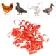 thumbnail image 5 of Anillos para patas de pollo bandas para patas de identificación de pájaros retráctil naranja 50 unidades para entrenamiento de aves de corral LYUMO Otros, 5 of 8