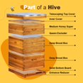 thumbnail image 2 of Kit de colmena BEEKNOWS Langstroth de 10 cuadros con recubrimiento de cera, 2 of 6