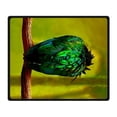 thumbnail image 2 of RYLABLUE Bird Blanket Fleece Throw Blanket for Sofa or Bed 58x80 inches, 2 of 3