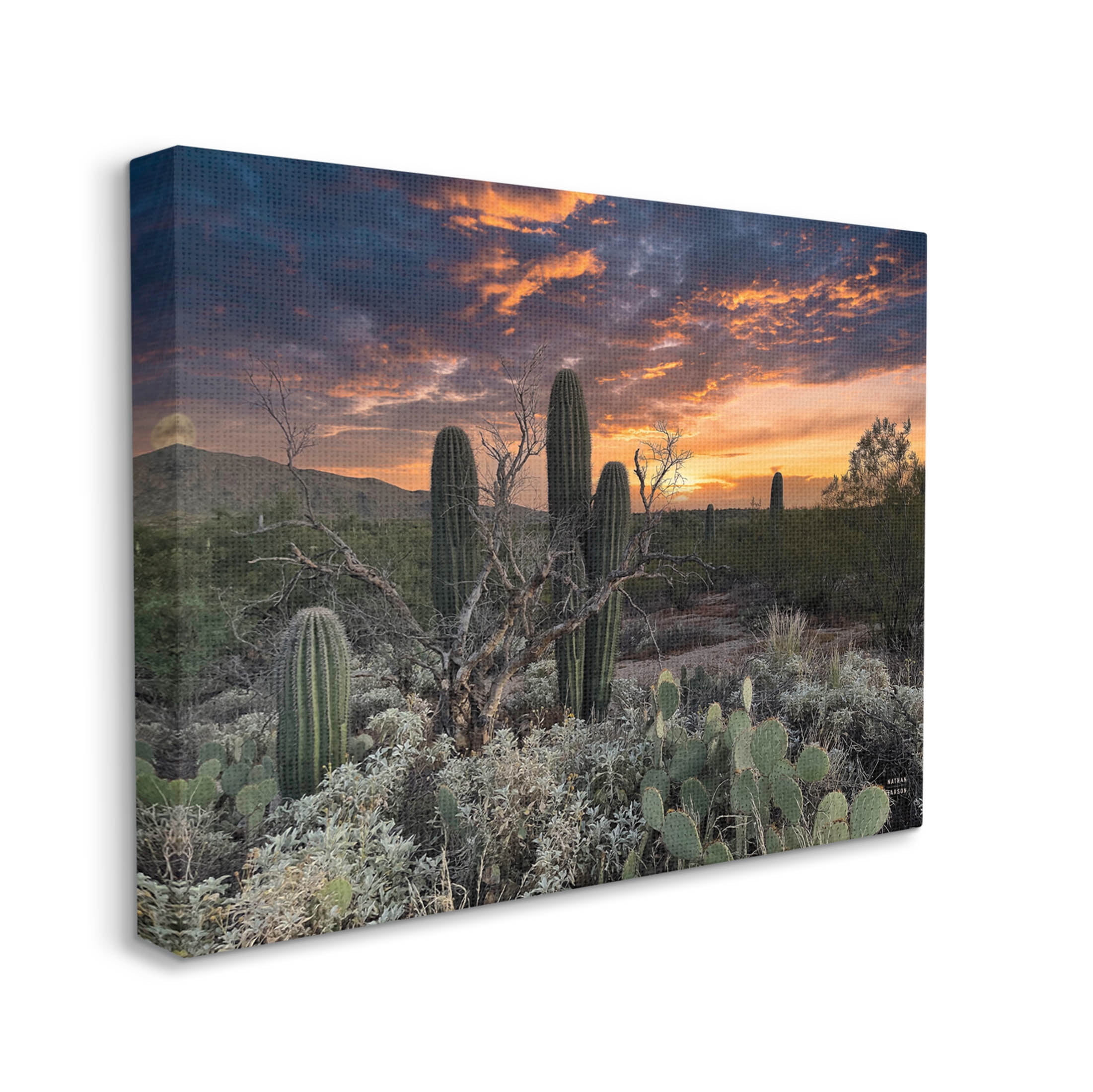 Stupell Industries Arid Desert Cactus Sunset Photograph Gallery Wrapped Canvas Print Wall Art, Design by Nathan Larson