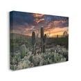 thumbnail image 3 of Stupell Industries Arid Desert Cactus Sunset Photograph Gallery Wrapped Canvas Print Wall Art, Design by Nathan Larson, 3 of 7