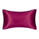 thumbnail image 1 of Funda de almohada de seda para decoración del hogar, funda de almohada de satén sedoso, cómoda, de belleza, 1 unidad, 1 of 4