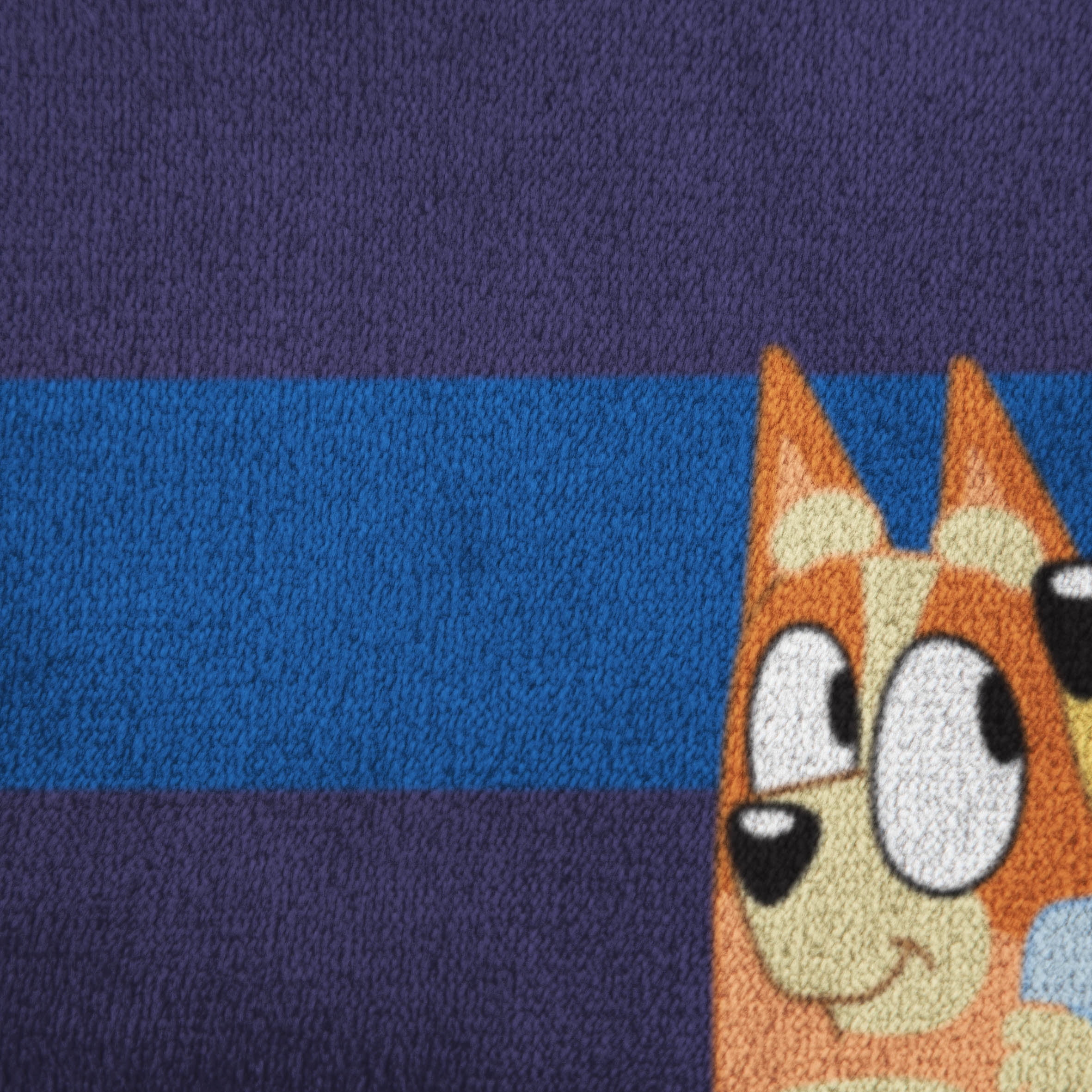 Bluey Kids Twin Blanket, 62 x 90, Microfiber, Blue, BBC
