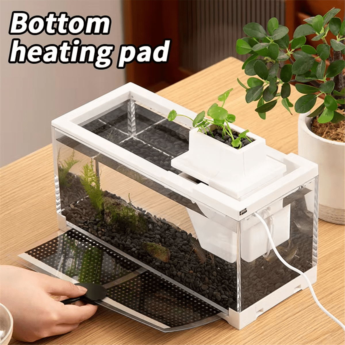 Tiny Fish Tank- Aquarium With Inner Light Mini Landscape