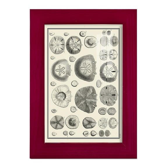 Aegean Collection II -Framed Print w/glass-Cherry Red