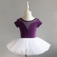 thumbnail image 2 of Justaucorps de Ballet pour Filles, Robe Tutu pour Filles avec Jupe Attachée, Tenue de Danse Sans Manches à Col Rond, Polyester Extensible Doux pour Pratique, Récitals, Usage Quotidien, 2 of 5