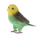 Oiseau Décoratif Animal Modèle Décoration Ornement Vert – image 2 sur 7