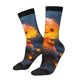 thumbnail image 1 of Fotbe Glowing Mushroom In Forest Calcetas Largas con Estampado para Hombre y Mujer – Calcetas de Compresión Transpirables y Elásticas, Viajar y Uso Diario Talla 5-11, 1 of 6